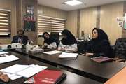 برگزاری کمیته اقتصاد درمان، دارو و کمیته دارو و درمان و تجهیزات پزشکی