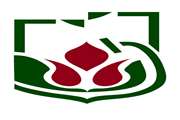 برگزاری کمیته مدیریت اجرائی