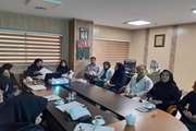 برگزاری جلسات کمیته اورژانس، بیمه و درآمد و اطلاعات سلامت در بیمارستان آرش